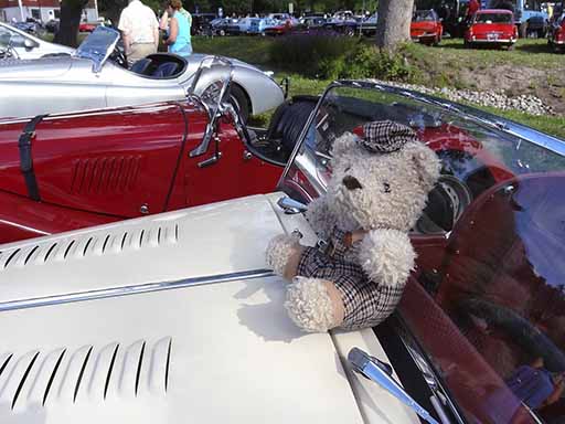 Morgan-nalle auton konepellill&auml;