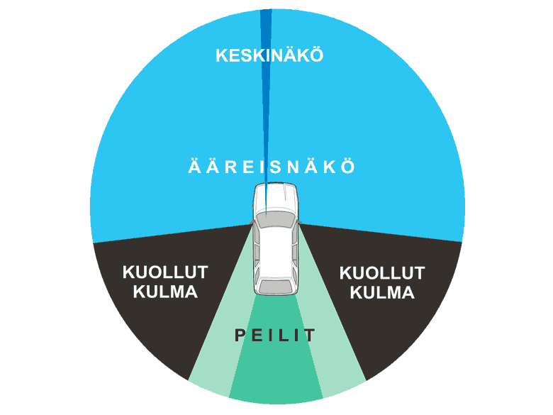 Havainnointikaavio