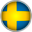 the Swedish flag